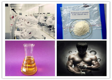 High Quality Steroid Hormone Winstrol Stanozolol 25mg / Ml 100mg/Ml CAS 10418-03-8 For Muscle Building