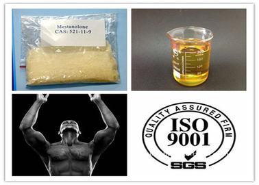 Anabolic Androgen Proviron Mesterolone 50mg / Ml Injectable Liquid For Bodybuilding