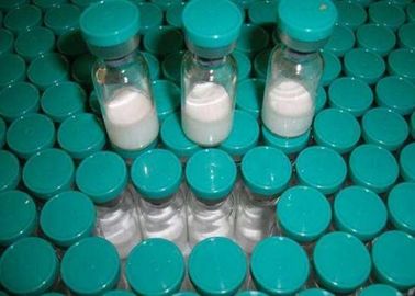 Pentadecapeptide Bpc 157 Peptides Steroids White Crystalline Powder For Bodyduilding