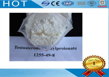 Healthy And Effectual Steroid Powder Testosterone Phenylpropionate For Lean Muscle
