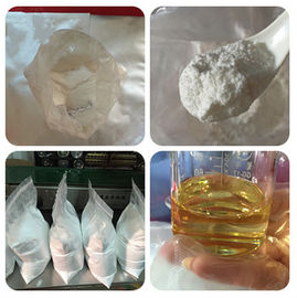 Steroid Tablets Solvents Microcrystalline Cellulose (MCC) For Oral Steroid Filler CAS 9004-34-6