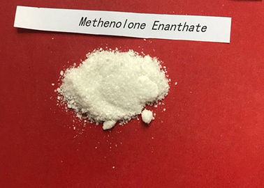 Methenolone Enanthate CAS 303-42-4 Raw Anabolic Drostanolone Steroid