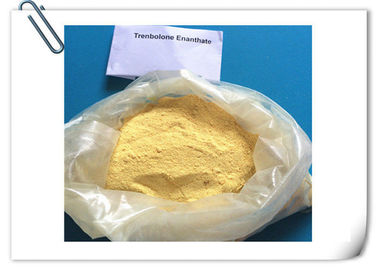 Trenbolone Enanthate Body Building Strong Effects 99% Purity Anabolic Steroids