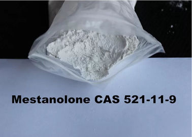 High Quality Steroid White Raw Powder Mestanolone China Factory Direct Supply