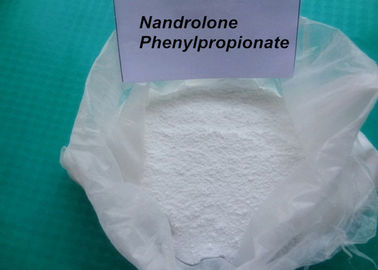Nandrolone Phenylpropionate CAS 62-90-8 / Deca Durabolin Injection For Bodybuilding
