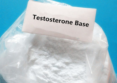 Pure Testosterone Base CAS 58-22-0 Weight Loss / Testosterone No Ester For Muscle Supplements