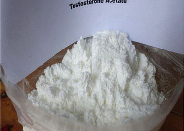 Muscle Growth Anabolic Steroids , Testosterone Acetate White Powder CAS 1045-69-8