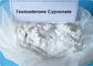 Lab supply Body Building Testosterone Anabolic Steroid Raw 1- Testosterone Cypionate CAS 58 20 8