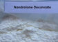 Nandrolone Steroid Nandrolone Decanoate Powder For Gain Muscle and Cutting