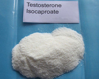 Testosterone ISO CAS 15262-86-9 Raw Steroid White Powder Testosterone Isocaproate For Body Building