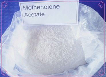 CAS 434-05-9 Muscle Gaining High Purity Raw Anabolic Steroids Methenolone Acetate / Primobolan
