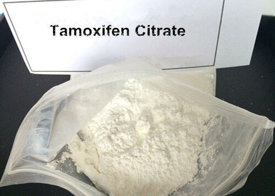 99% Tamoxifen Citrate Steroid Powder Nolvadex / Tamoxifen Citrate CAS 54965-24-1