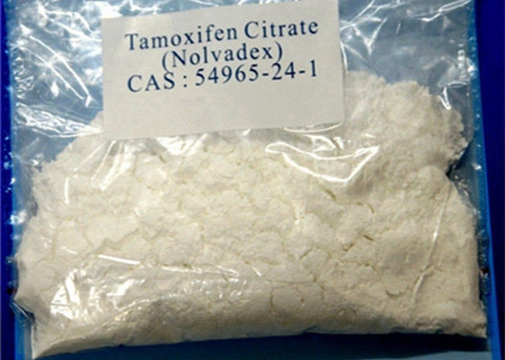 99% Tamoxifen Citrate Steroid Powder Nolvadex / Tamoxifen Citrate CAS 54965-24-1