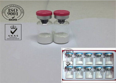 White powder Hot Injectable Human (Growth) Peptide Hormone Ghrp-6 for Muscle Gaining