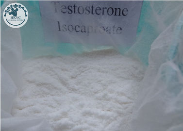 Testosterone Isocaproate CAS 15262-86-9