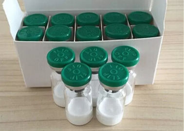 Sermorelin Acetate Bodybuilding , Growth Hormone Peptides Sample Available