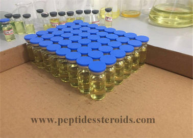Testosterone Propionat 100 Injectable Anabolic Steroids CAS 57-85-2