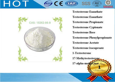Free Sample Anabolic Steroid Hormone Powder Testosterone Isocaproate For Bodybuilding