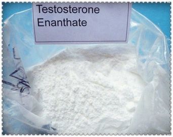 Pharma Grade Raw  Steroid Hormone Powders Steroid raw powder Testosterone Phenylproprionate Test P CAS 1255-49-8