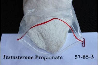 Steroid Powder Testosterone Propionate/Test Prop Injection Oil Gear CAS 57-85-2