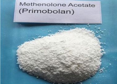 Steroids Raw Powder Primonolone / Methenolone Acetate for bodybuilding CAS: 434-05-9