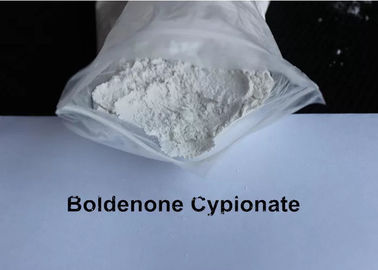 Top Quality Boldenone Cypionate CAS 106505-90-2 Powerful For Bodybuilding Supplement