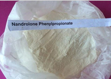 High Purity Anabolic Steroid Nandrolone Phenylpropionate CAS 62 90 8 Durabolin