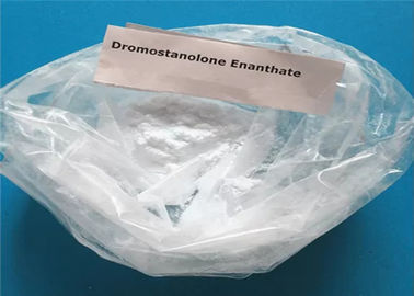 CAS 13425-31-5 Drostanolone Anabolic Steroids Drostanolone Enanthate / Mast E