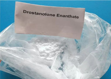 Powerful Muscle Building Steroid Drostanolone Enanthate / Masteron Enanthate