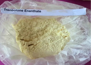 Trenbolone Enanthate CAS 472-61-546  Powder Slightly Yellow For Body Building