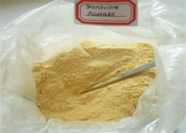 99 % Purity Trenbolone Acetate Steroid Finaplix CAS: 10161-34-9 Yellow Powder for Bodybuilding