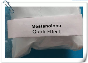 CAS 521-11-9 Mestanolone Muscle Building Strong Effects 99% Purity Anabolic Steroids