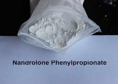 Natural Deca Durabolin Steroids Nandrolone Phenylpropionate NPP For Mass Muscle Growth