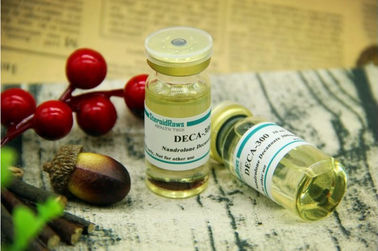 Injectable Deca Durabolin Nandrolone Decanoate CAS 360-70-3 For Mass Muscle Growth