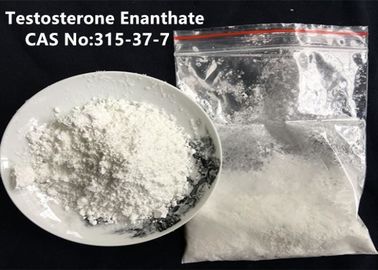 Injectable Testosterone Enanthate CAS 315-37-7 Muscle Building