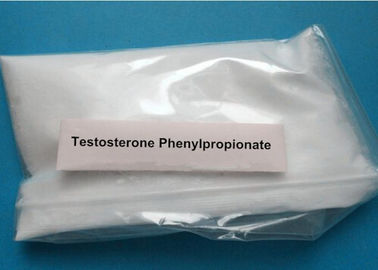Injectable Fast Acting Testosterone Phenylpropionate / Test PP CAS 1255-49-8 Muscle Building Anabolic Steroids