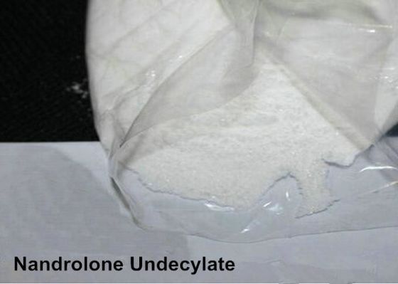 Male Hormone Fitness Anabolic Steroids Powder Nandrolone Undecanoate CAS 862-89-5