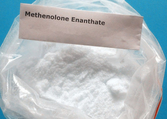 Oral Cutting Cycle Steroids Methenolone Enanthate CAS 303-42-4 Steroid Hormone Powder Muscle Mass Gain