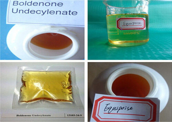 Raw Bulking Cycle Steroids Boldenone Undecylenate CAS 13103-34-9 Equipoise EQ For Muscle Growth