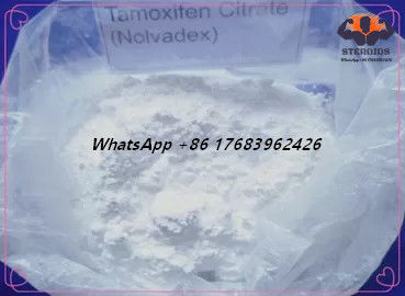 White Powder Anti Estrogen Steroids Tamoxifen Citrate CAS 54965-24-1 Nolvadex CAS 54965-24-1